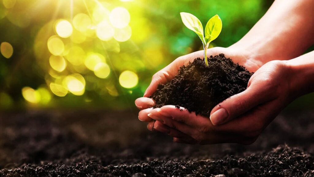 Distribution of Soil In India