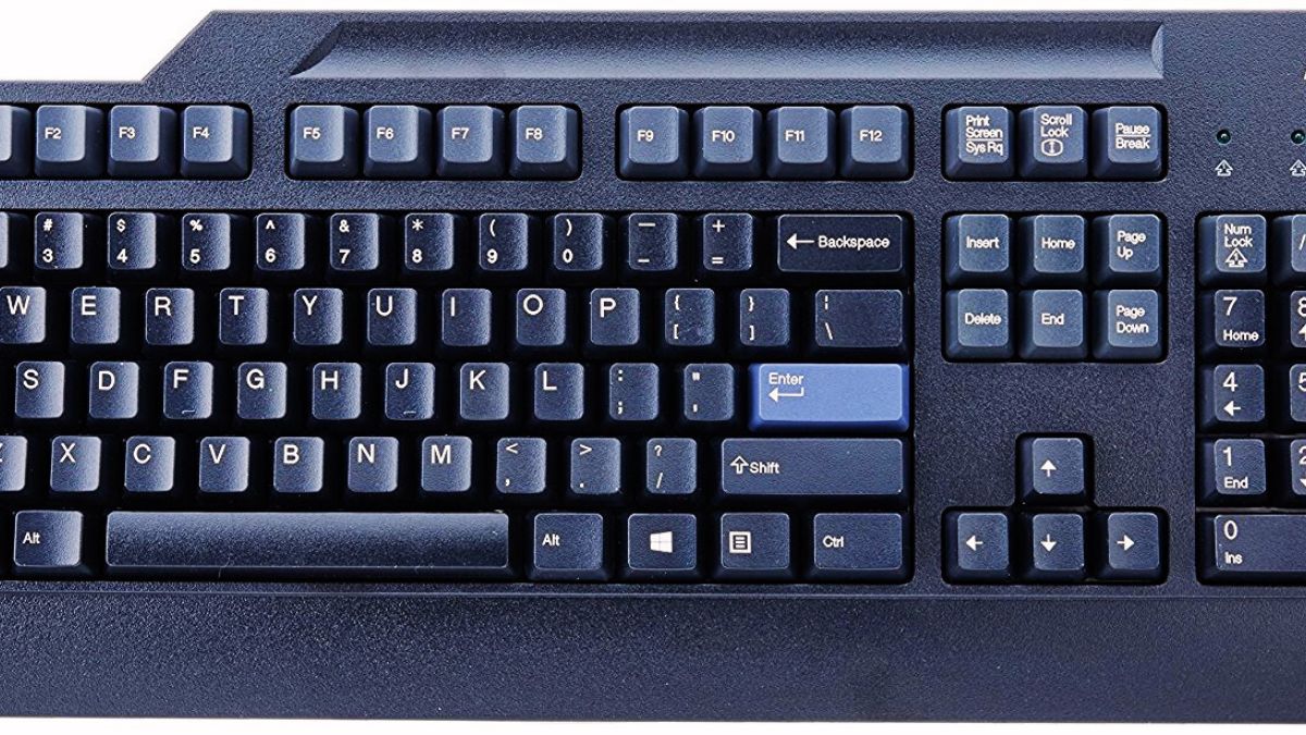 Computer: Input Devices With PYQs